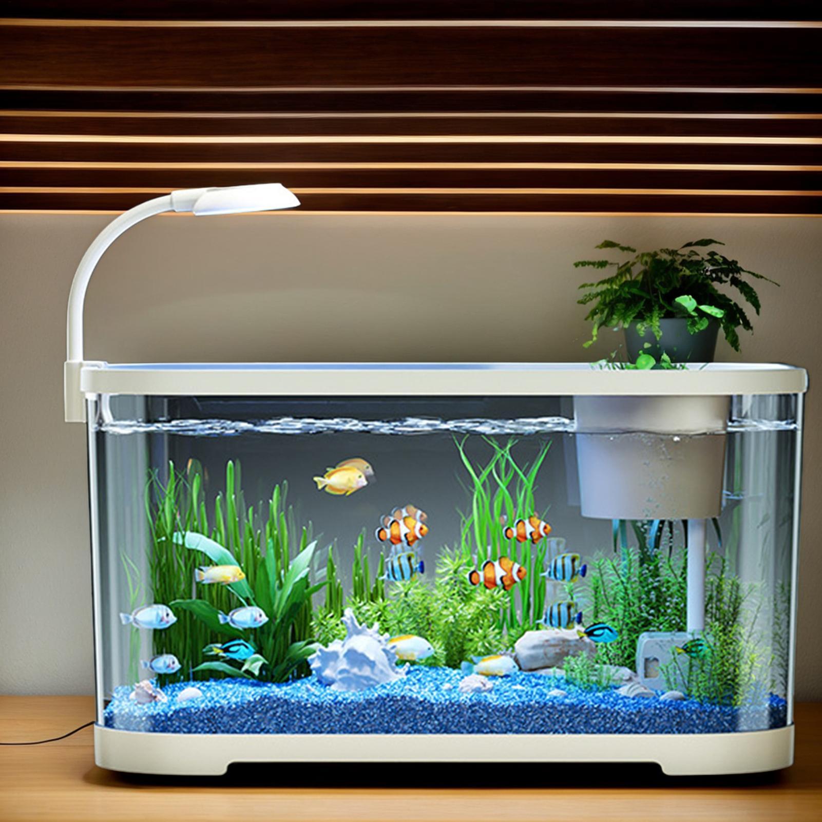 Betta Fish Tank - Akvaryum Kiti Başlangıç Betta Balık Tankı