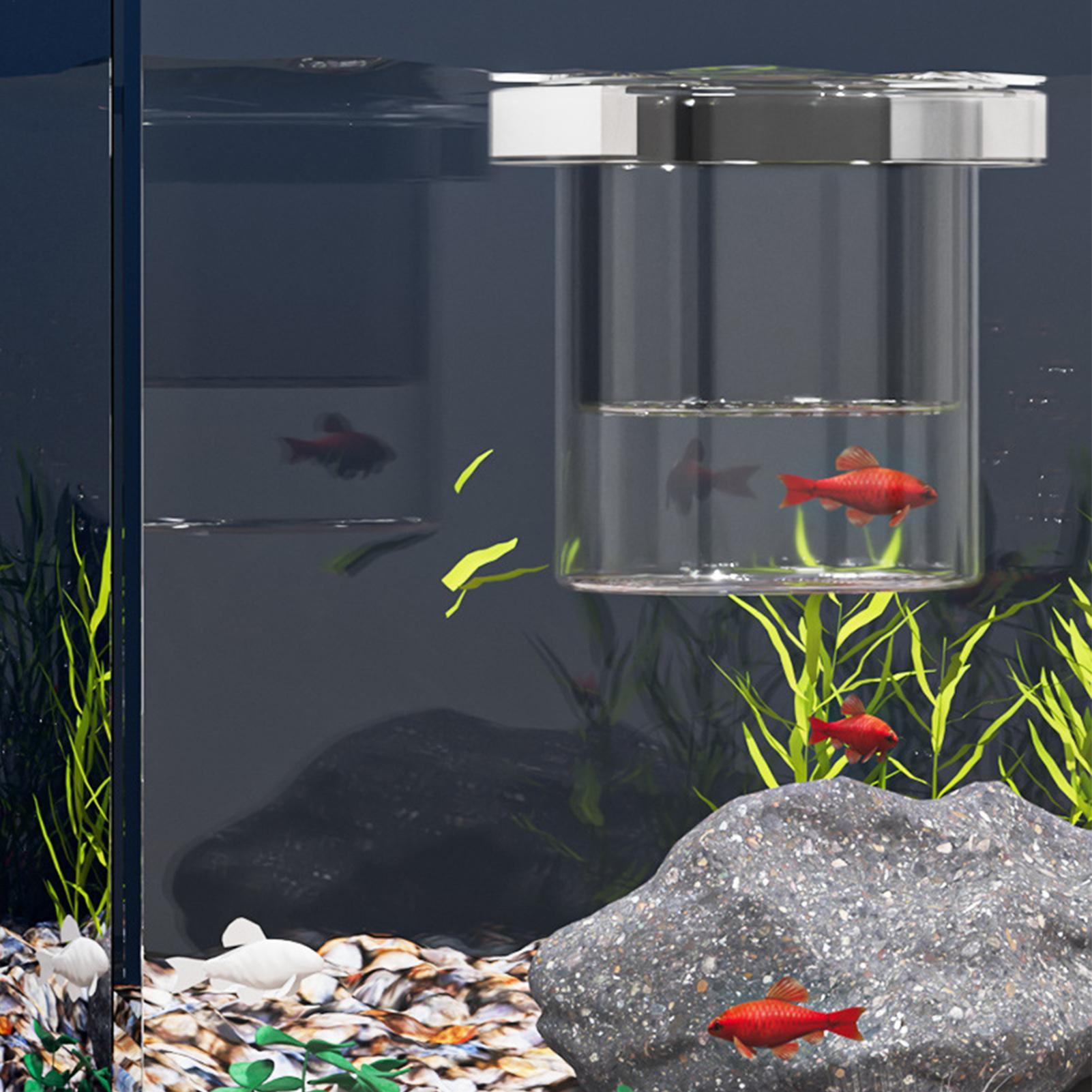 Balık Yetiştirme Kutusu, Yüzen - Aquarium Fish Betta incelemesi ve fiyatı