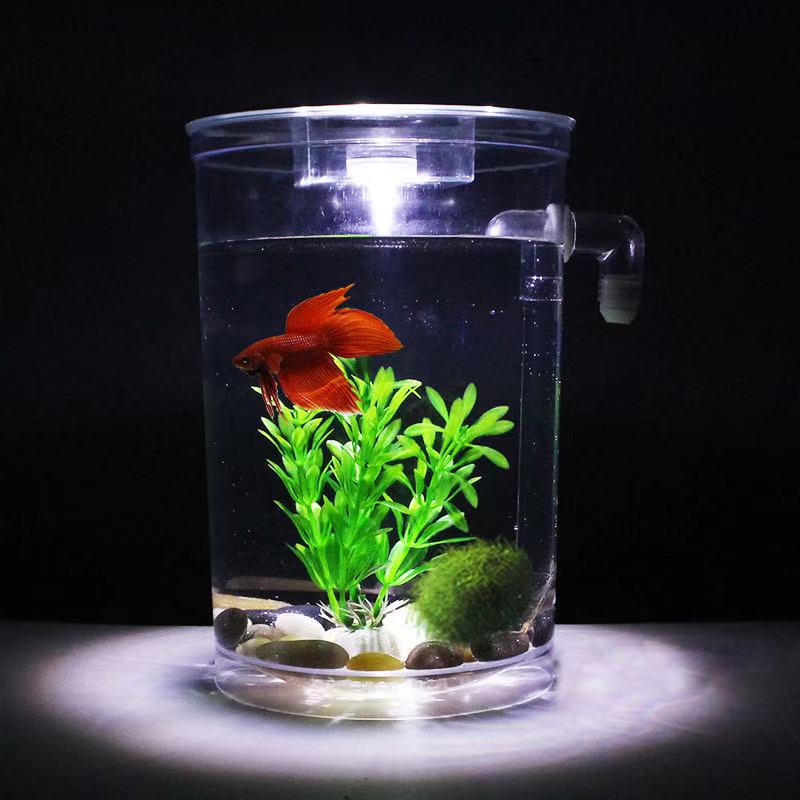 Tembel ücretsiz su değişimi ma - Betta Fish Tank incelemesi ve fiyatı
