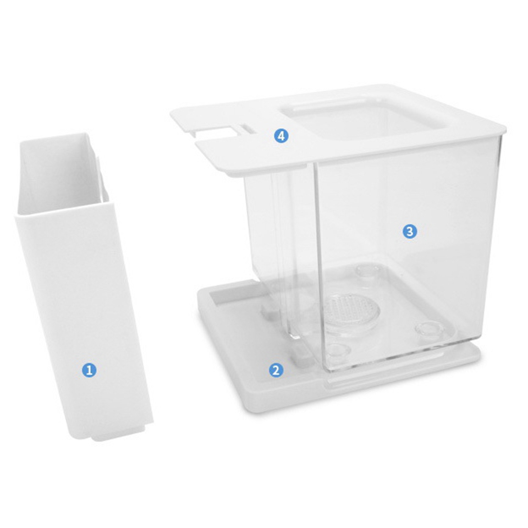 AT21-2X Betta Balık Tankı Akva - Betta Fish Tank incelemesi ve fiyatı