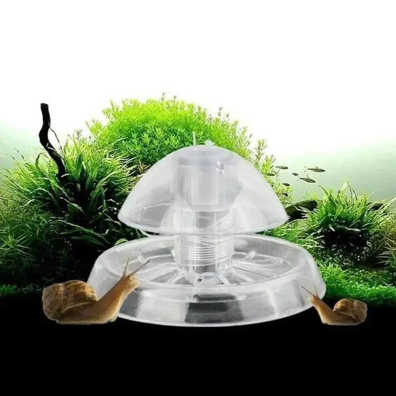 2026 Yeni 6/8CM Şeffaf Plastik - Fish Aquarium Home incelemesi ve fiyatı