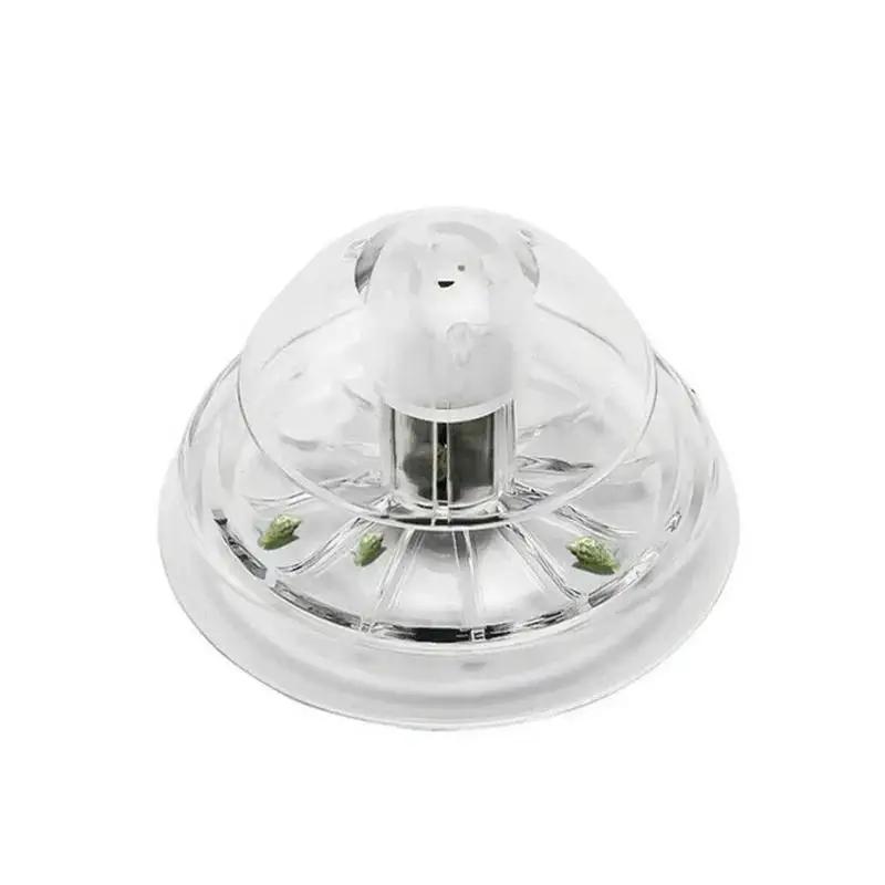 2026 Yeni 6/8CM Şeffaf Plastik - Fish Aquarium Home incelemesi ve fiyatı