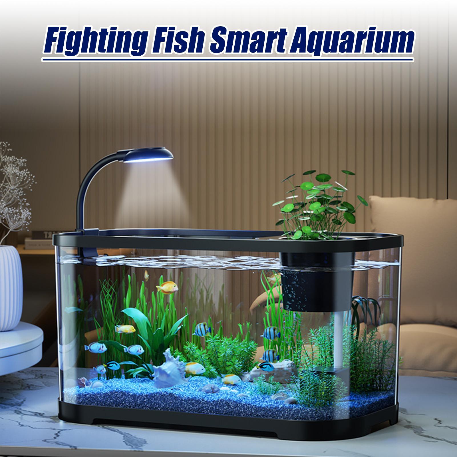 Akvaryum Kiti Başlangıç Betta  - Betta Fish Tank incelemesi ve fiyatı