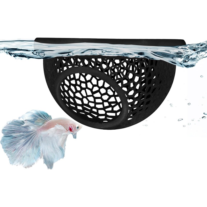 Betta balıklarının eğitimi, di - Aquarium Fish Betta incelemesi ve fiyatı