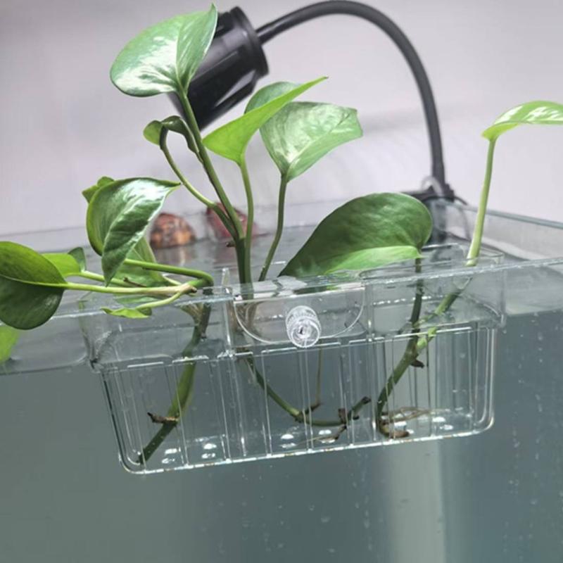 Hidroponik Bitki Sepeti Gıda S - Aquarium Plants incelemesi ve fiyatı