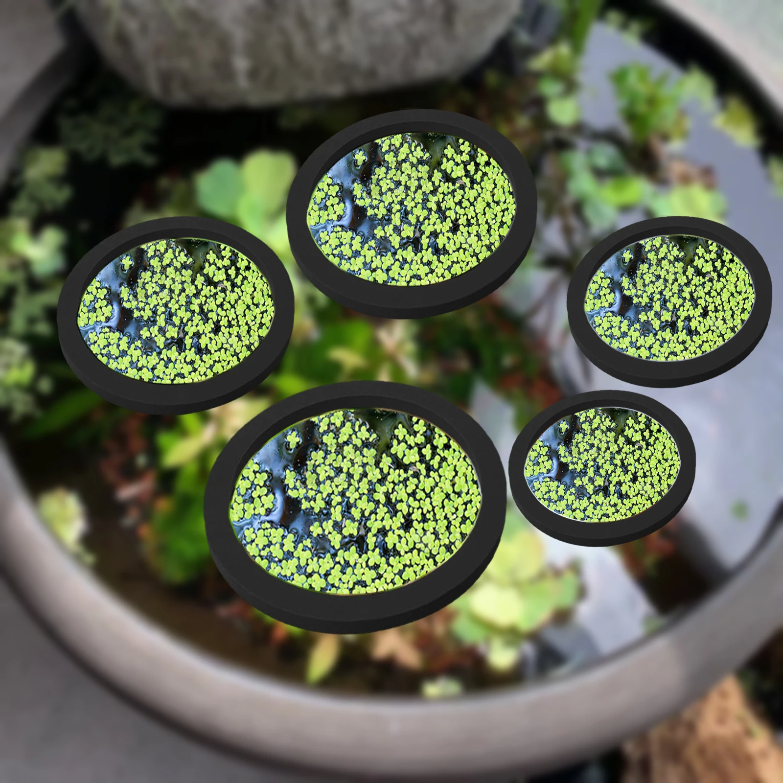 5 adet EVA balık besleme halka - Aquarium Plants incelemesi ve fiyatı