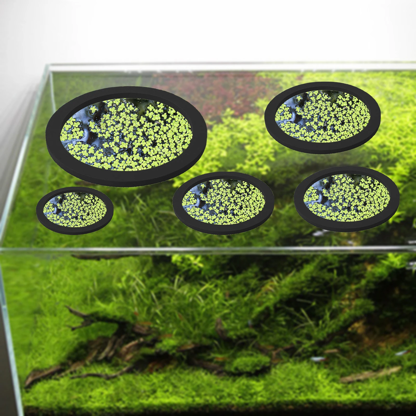 5 adet EVA balık besleme halka - Aquarium Plants incelemesi ve fiyatı