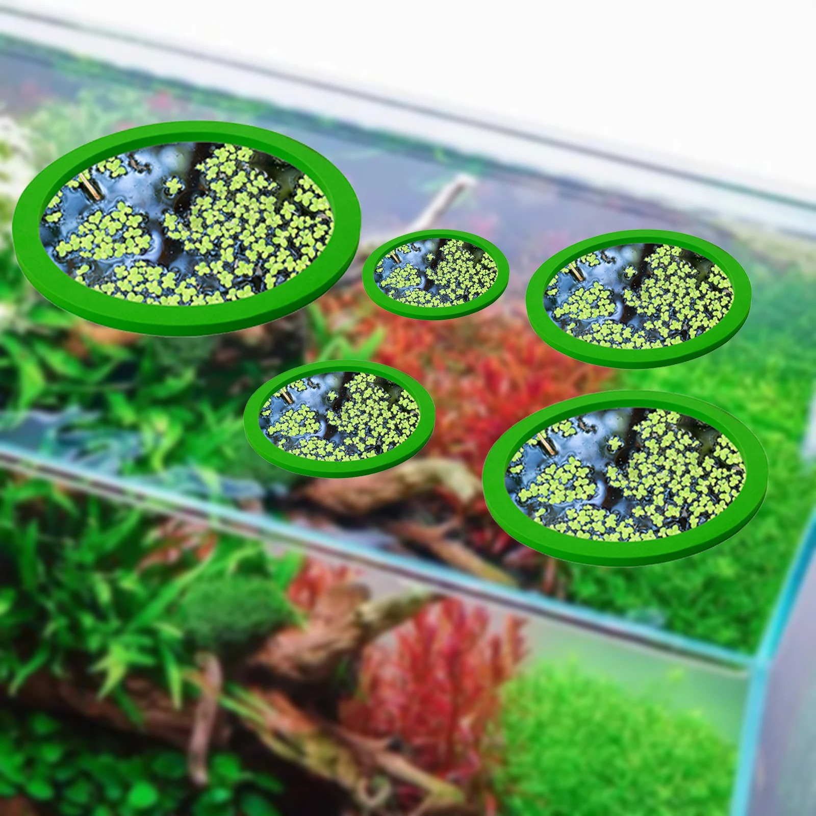 5 adet EVA balık besleme halka - Aquarium Plants incelemesi ve fiyatı