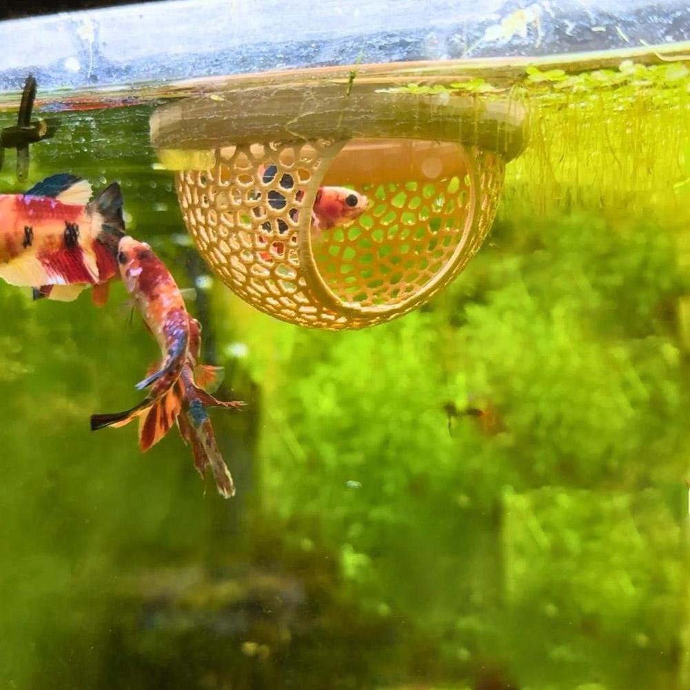 Akvaryum Yüzen Mağara Balık Ka - Betta Fish Tank incelemesi ve fiyatı
