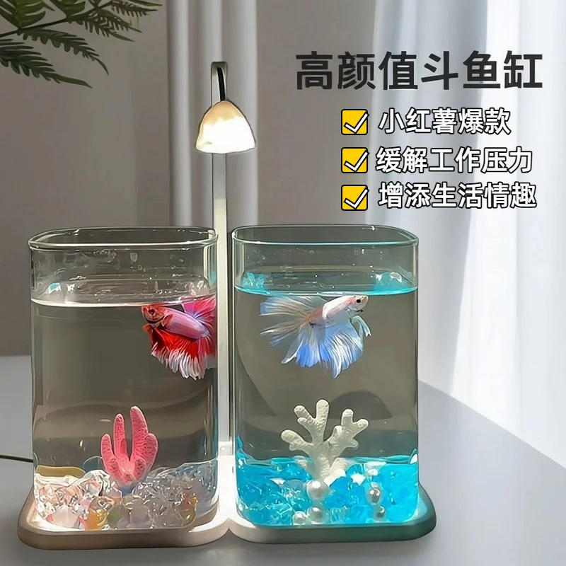 Mini Betta Balığı Cam Akvaryum - Betta Fish Tank incelemesi ve fiyatı